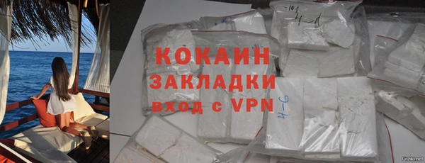 2c-b Дмитриев