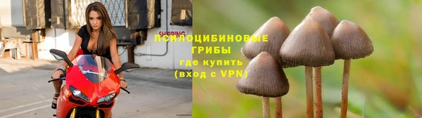 2c-b Дмитриев